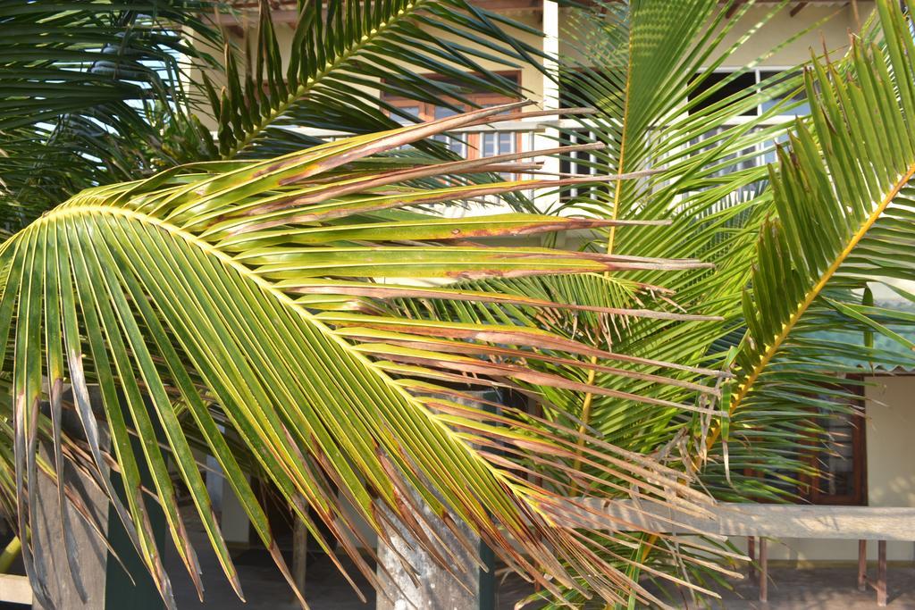 Beach Arthur Villa Galle Buitenkant foto
